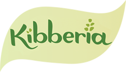 Website Logo